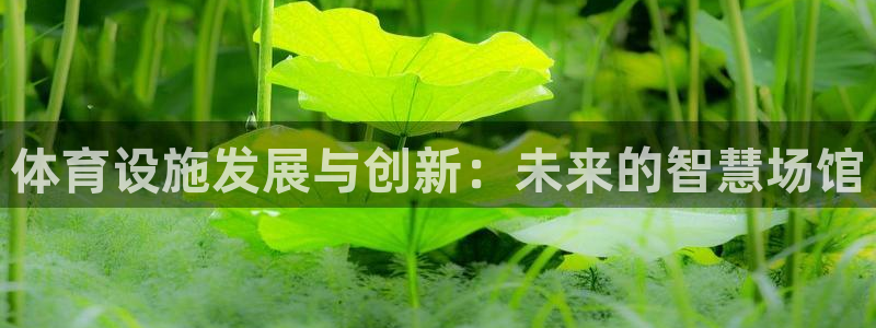 意昂体育4招商电话是多少：体育设施发展与创新：未来的