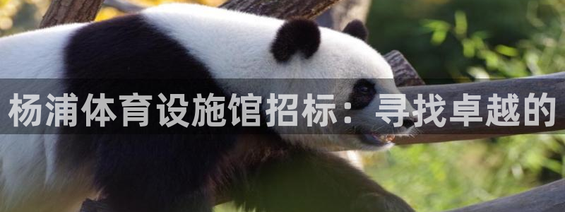 意昂体育4联系电话：杨浦体育设施馆招标：寻找卓越的