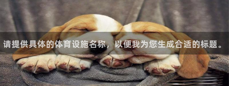 意昂体育4娱乐：请提供具体的体育设施名称，以便我为您