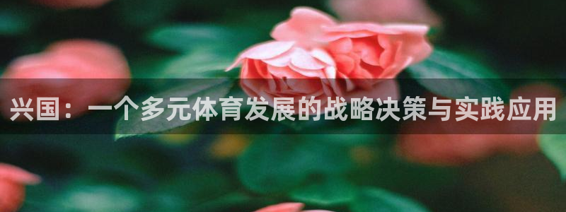 意昂体育4注册：兴国：一个多元体育发展的战略决策与实践应用