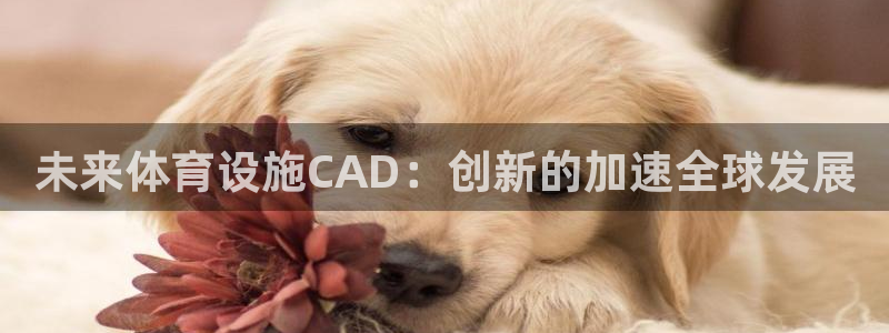 意昂体育4招商电话号码查询：未来体育设施CAD：创新