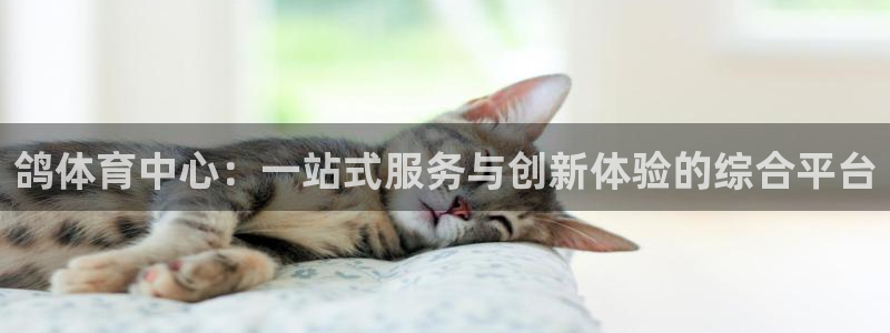 意昂体育4平台假的吗是真的吗吗：鸽体育中心：一站式服