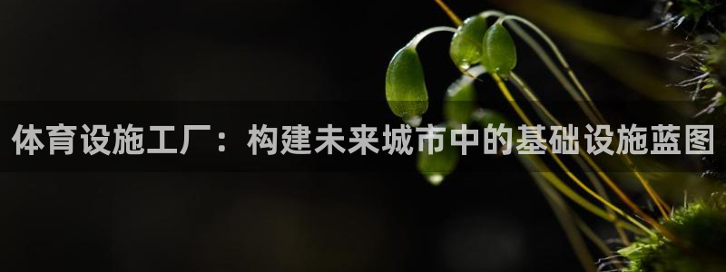 意昂4娱乐代理怎么样：体育设施工厂：构建未来城市中的