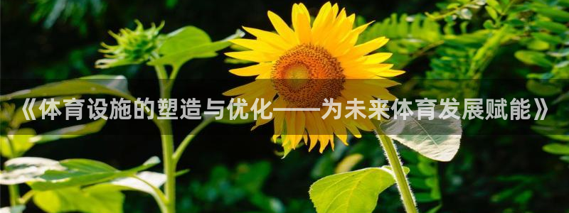 意昂体育4招商电话是多少啊：《体育设施的塑造与优化—