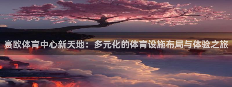 意昂4集团E.ON：赛欧体育中心新天地：多元化的体育