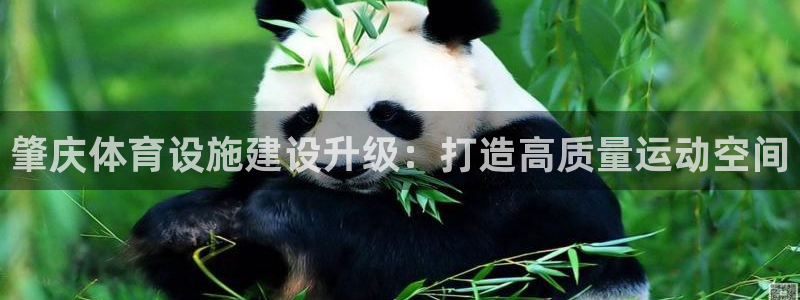 意昂体育4招商电话是多少号码：肇庆体育设施建设升级：