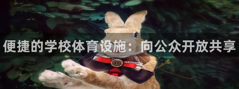 意昂体育4招商电话号码是多少号：便捷的学校体育设施：