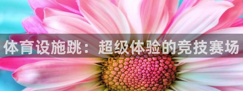 意昂4官方：体育设施跳：超级体验的竞技赛场