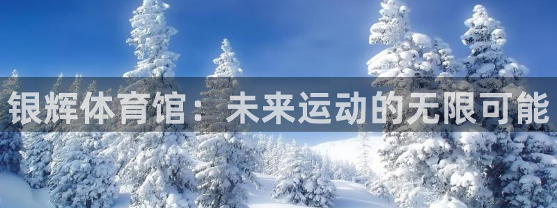 意昂体育4平台假的吗是真的吗吗：银辉体育馆：未来运动