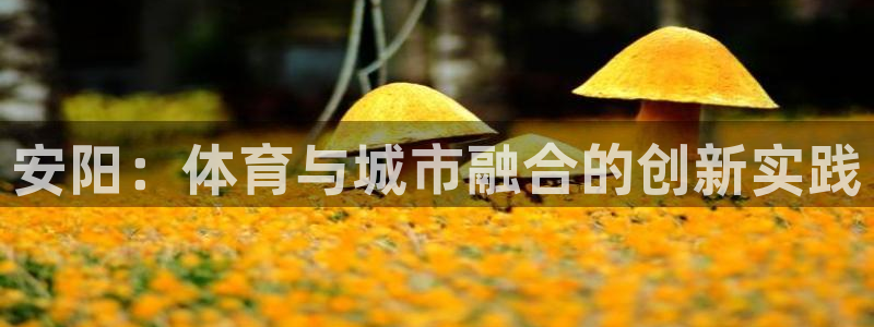 意昂4集团官网首页：安阳：体育与城市融合的创新实践
