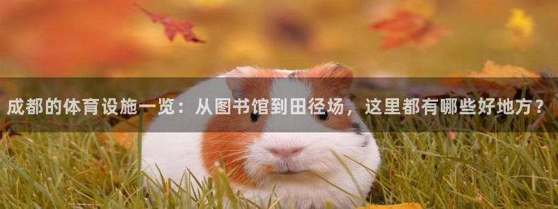 意昂4娱乐40996：成都的体育设施一览：从图书馆到
