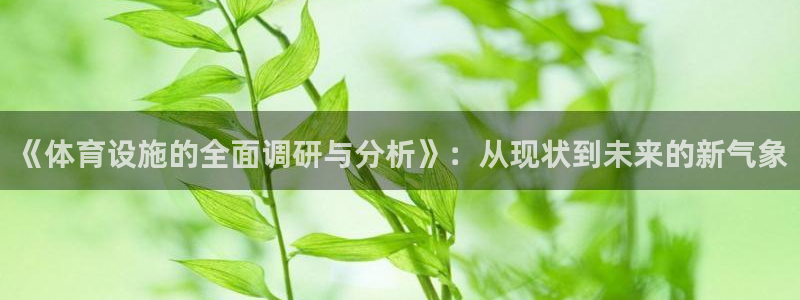 意昂体育4注册：《体育设施的全面调研与分析》：从现状