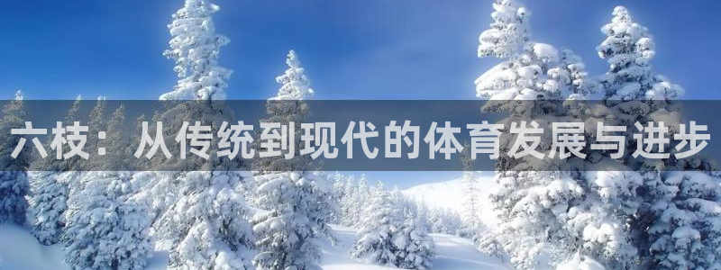 意昂平台体育：六枝：从传统到现代的体育发展与进步