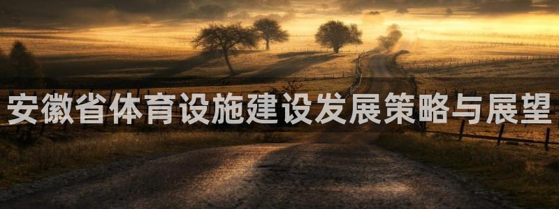 意昂体育4：安徽省体育设施建设发展策略与展望