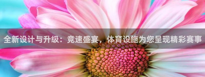 意昂体育4平台注册流程视频：全新设计与升级：竞速盛宴