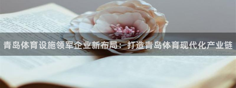 意昂体育4招商：青岛体育设施领军企业新布局：打造青岛