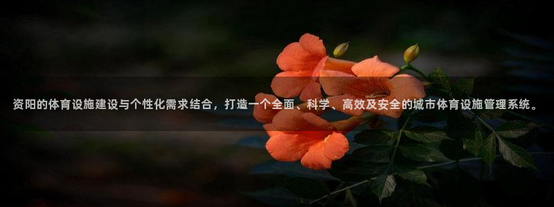 意昂体育4平台注册要钱吗：资阳的体育设施建设与个性化