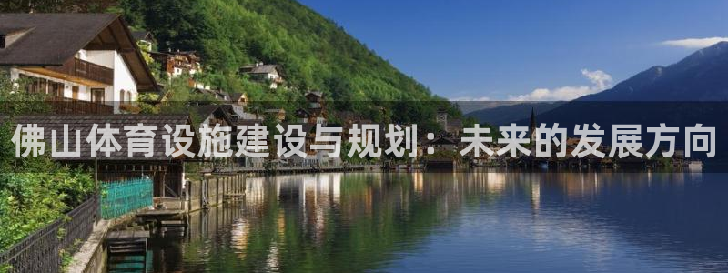 意昂体育4开户：佛山体育设施建设与规划：未来的发展方