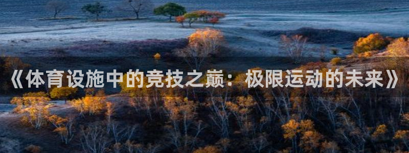 意昂4官网：《体育设施中的竞技之巅：极限运动的未来》