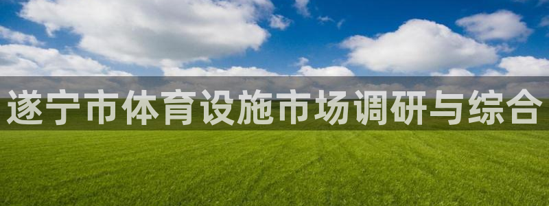 意昂4娱乐下载：遂宁市体育设施市场调研与综合 